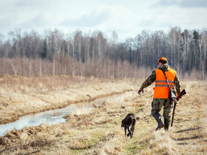 Location de la chasse communale - appel d'offres